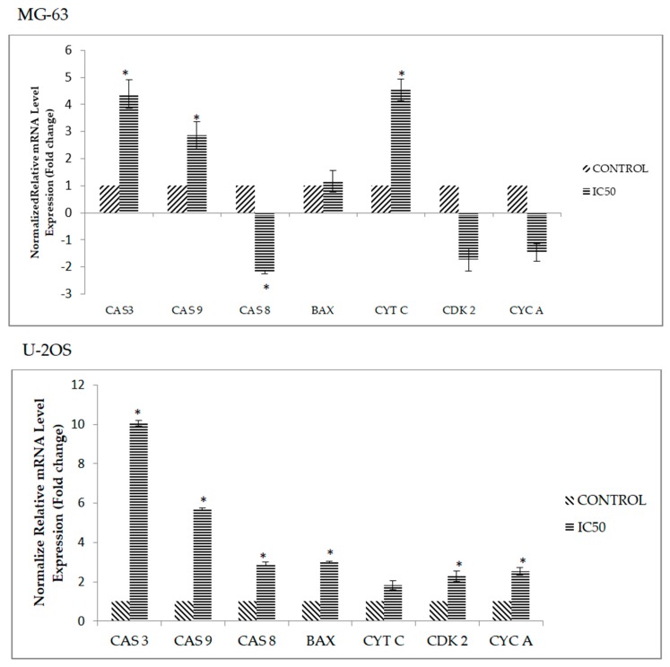 Figure 6