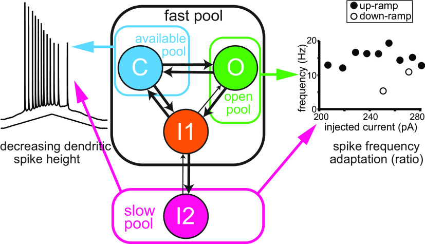 Figure 10.