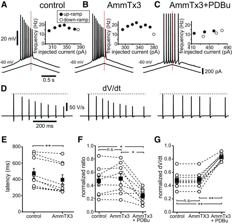 Figure 7.