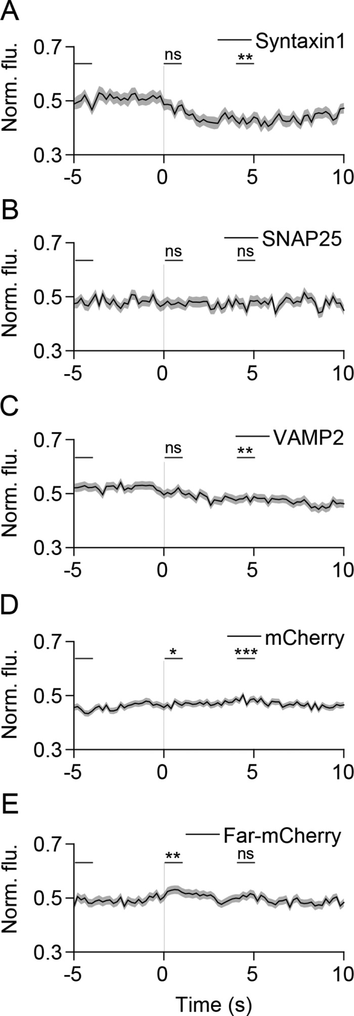 FIGURE 3: