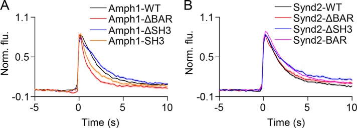 FIGURE 7: