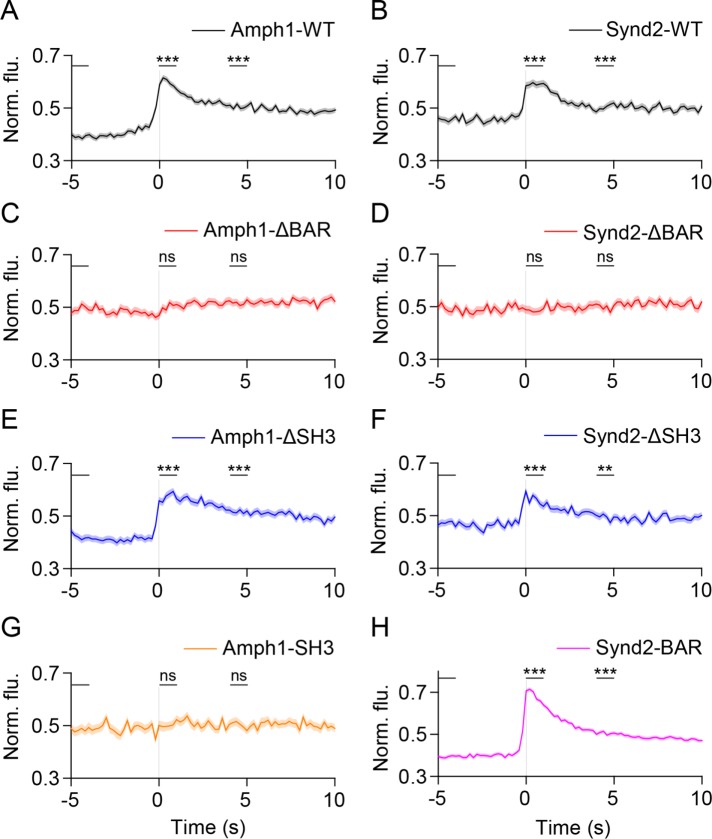 FIGURE 6: