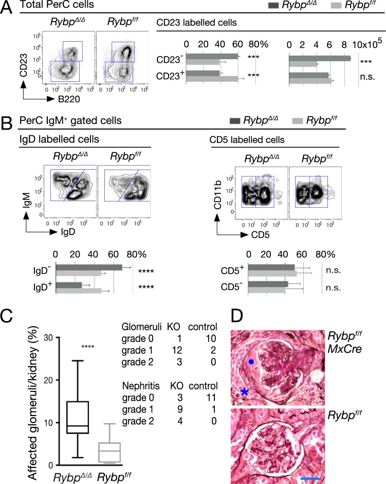 FIG 6