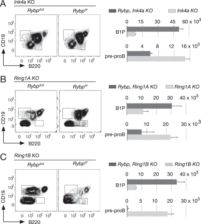 FIG 3