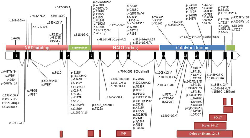 Figure 2: