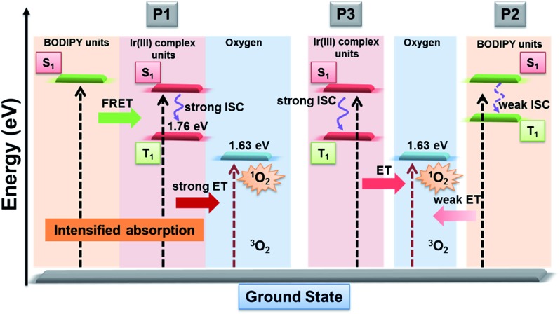 Scheme 2