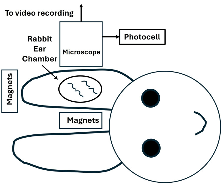 Figure 11