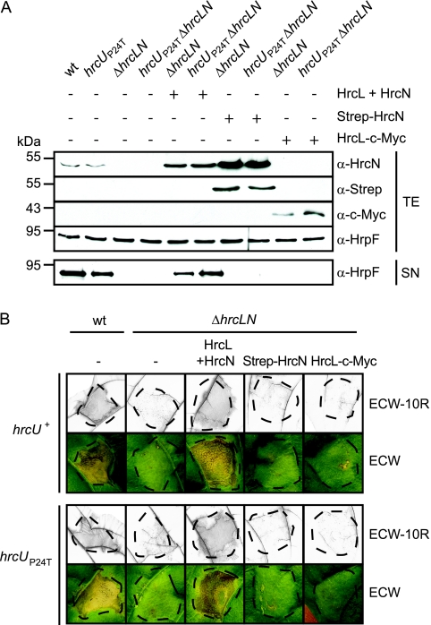 FIG. 9.