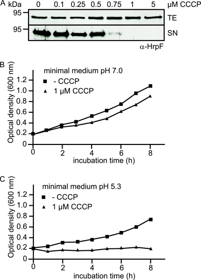 FIG. 10.