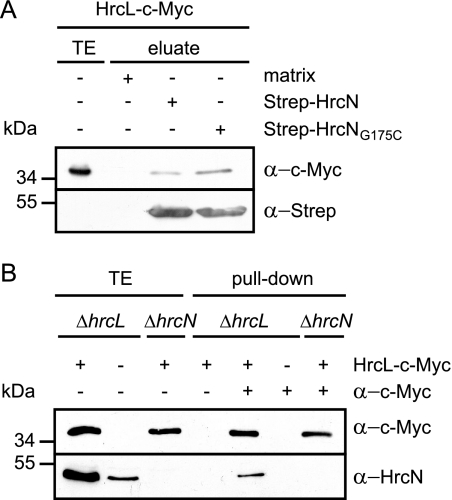 FIG. 4.