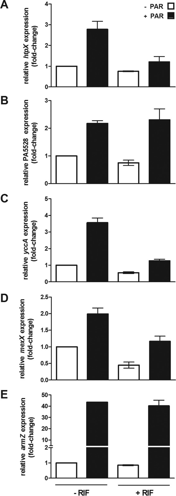 FIG 2