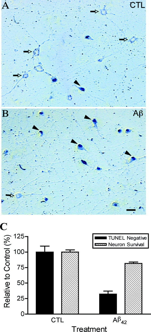 Fig. 8.