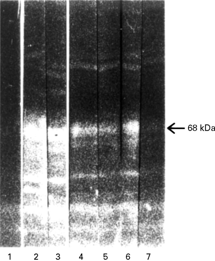 Figure 4  