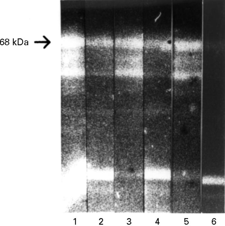 Figure 2  