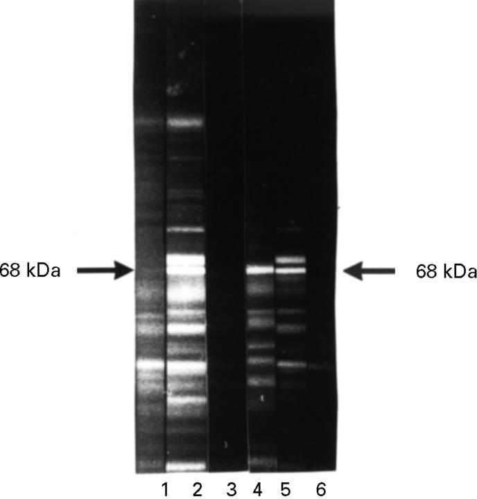 Figure 3  