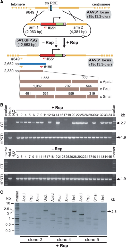 Figure 2.