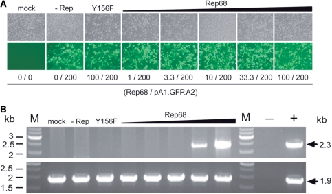 Figure 5.