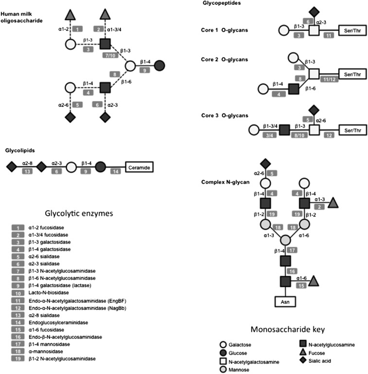 FIGURE 1.