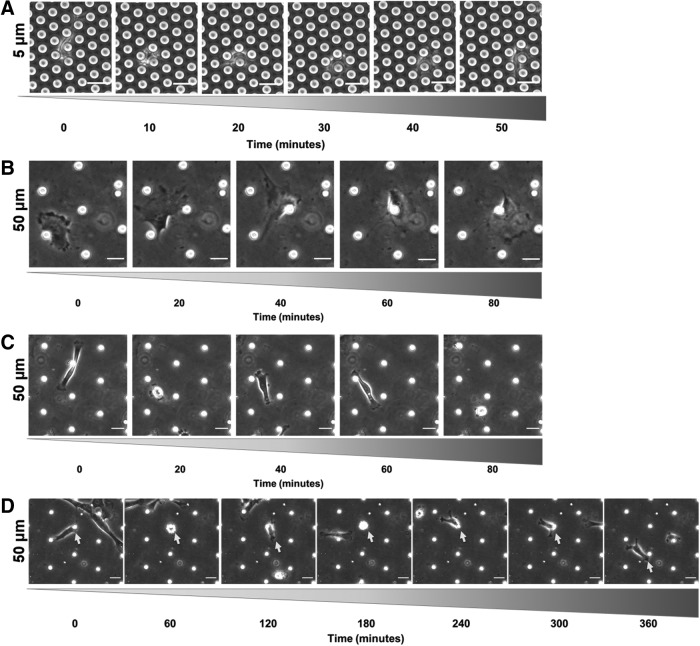 FIG. 9.