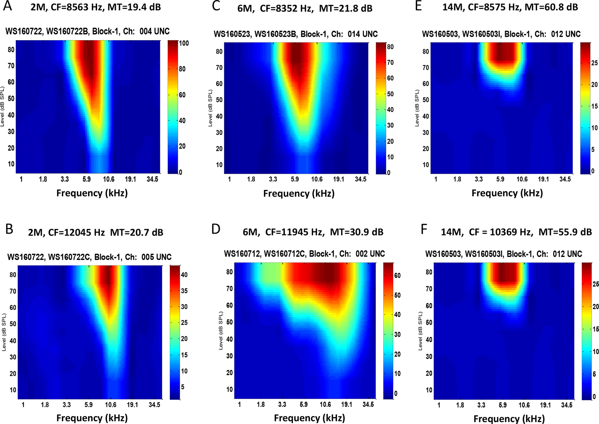 Figure 4.