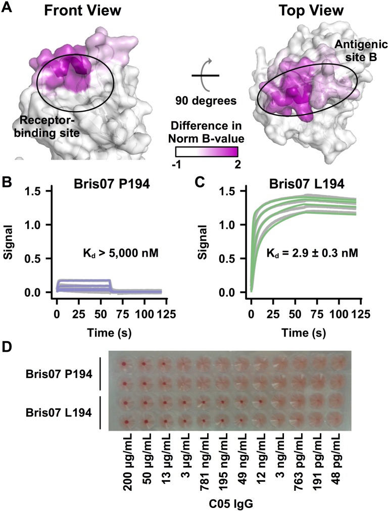 Fig 3