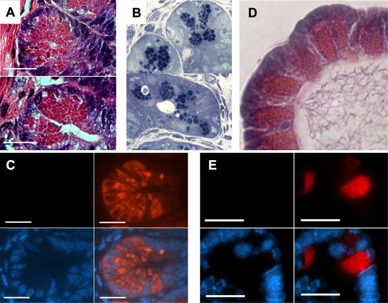 Fig. 3.