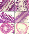 Fig 9