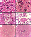 Fig 7