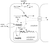 Fig. 1.