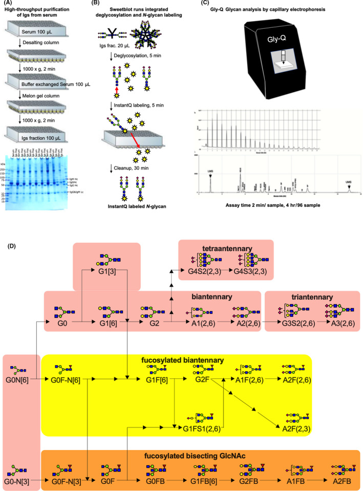 FIGURE 2