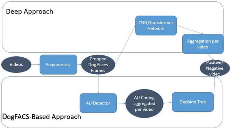 Figure. 3