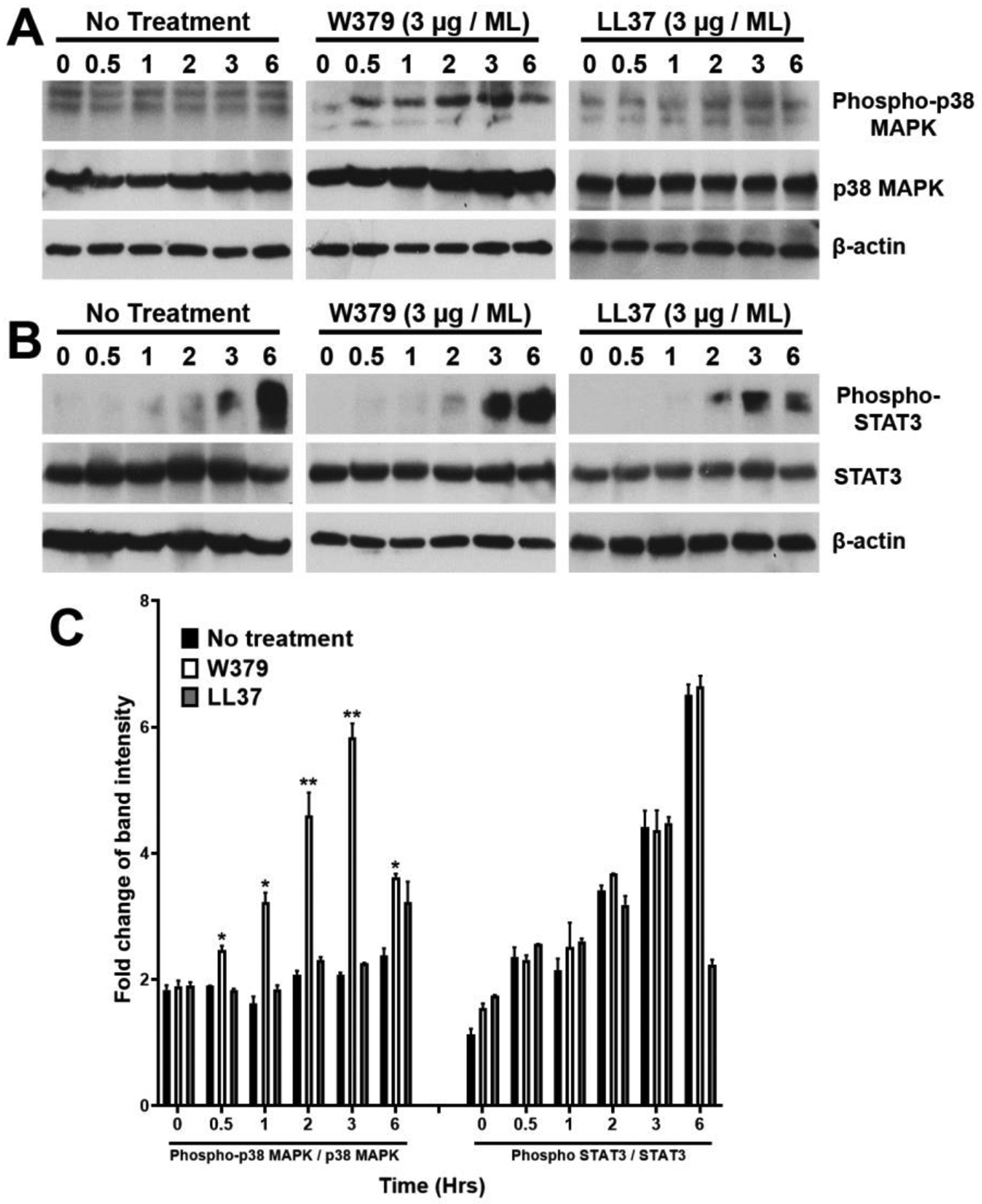 Figure 6.