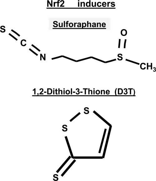 FIG. 10.