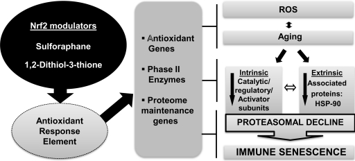 FIG. 11.