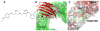 Fig. 2