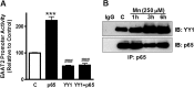 FIG 6