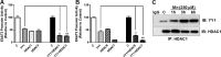 FIG 7