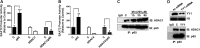 FIG 8