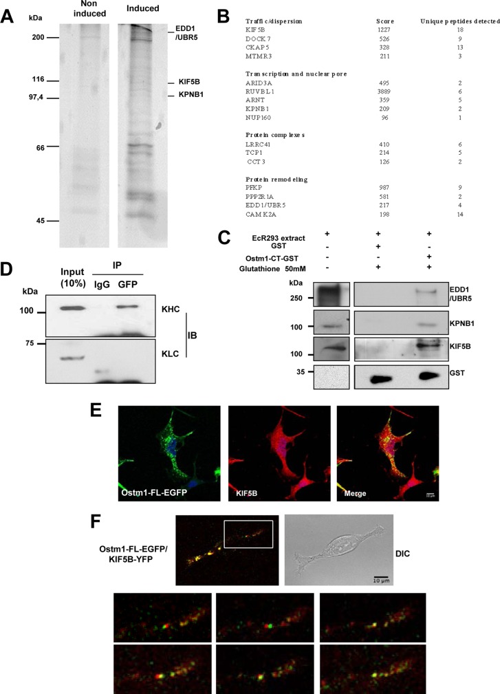 FIG 3