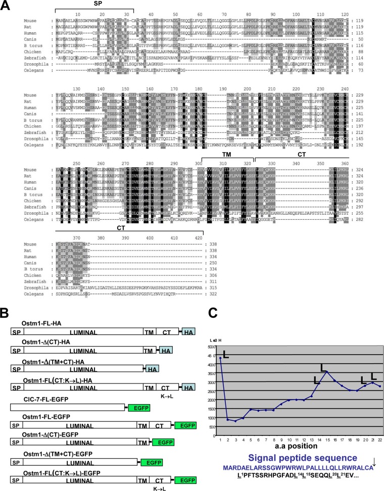 FIG 1