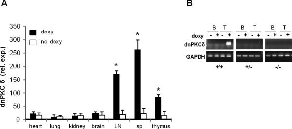 Fig.2