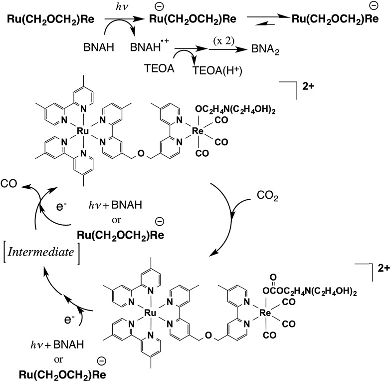 Scheme 1