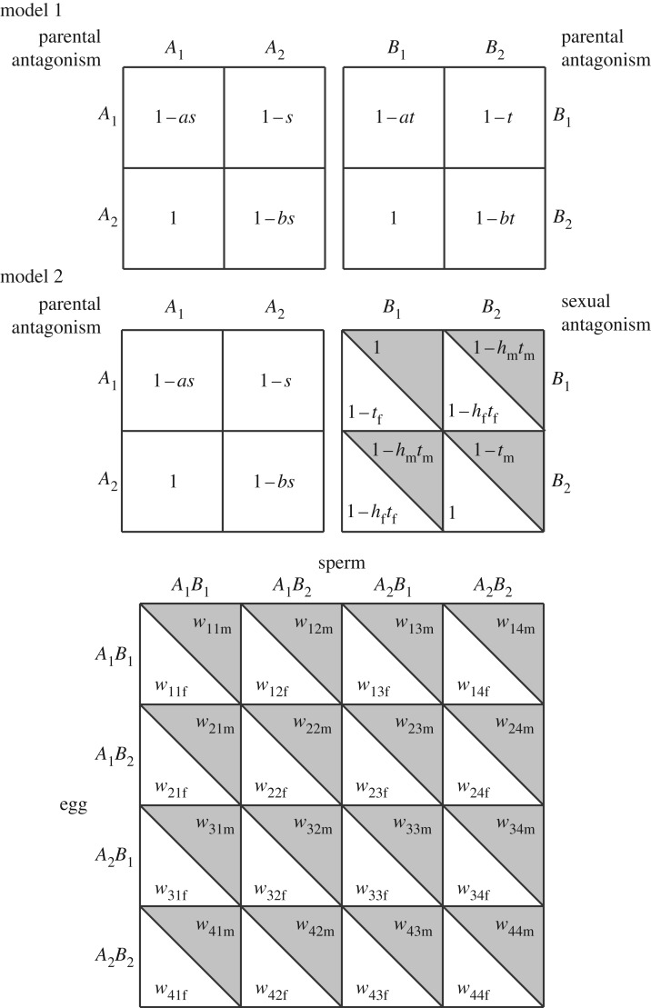 Figure 1.