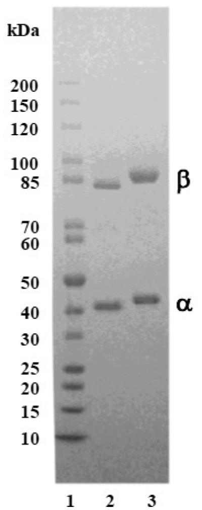 Fig. (2)