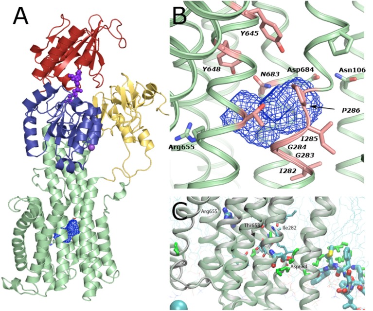 Figure 9