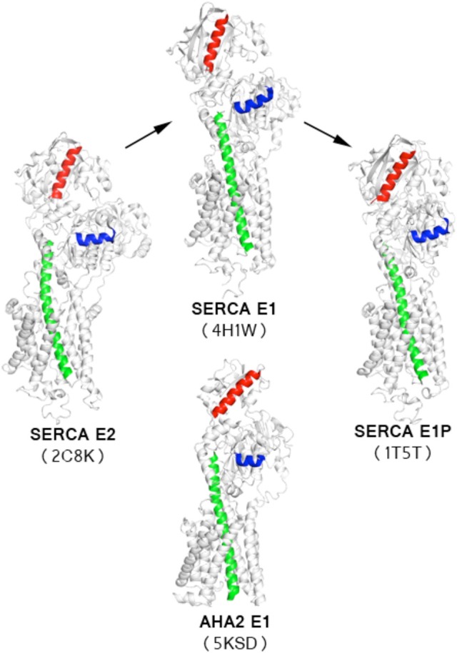 Figure 5