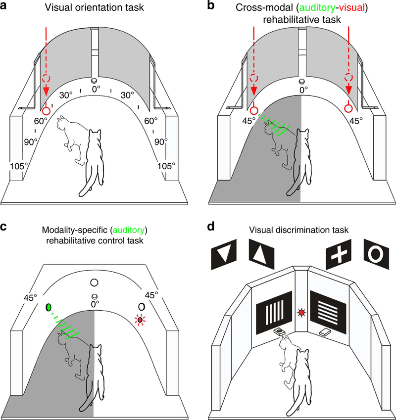 Figure 1 |