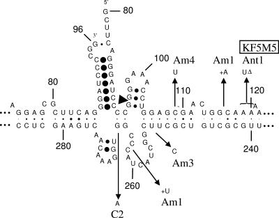 FIG. 7.