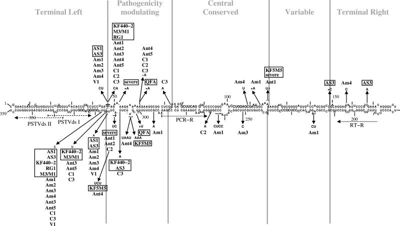 FIG. 5.