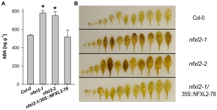 Figure 9